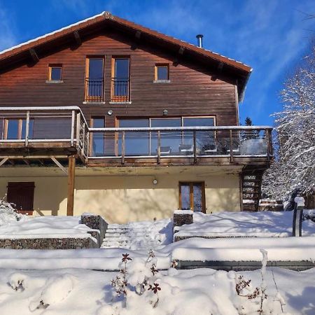 Le Cerf, Chalet Cocooning Avec Piscine Et Billard Ban-sur-Meurthe-Clefcy Kültér fotó