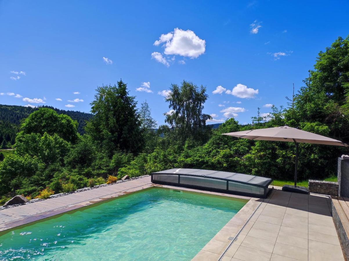 Le Cerf, Chalet Cocooning Avec Piscine Et Billard Ban-sur-Meurthe-Clefcy Kültér fotó