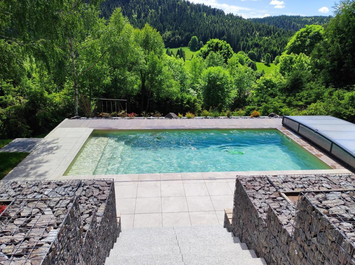 Le Cerf, Chalet Cocooning Avec Piscine Et Billard Ban-sur-Meurthe-Clefcy Kültér fotó