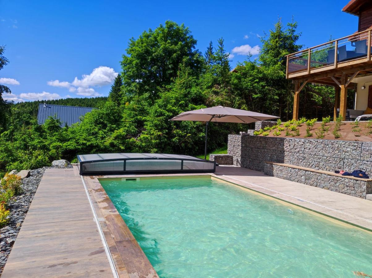 Le Cerf, Chalet Cocooning Avec Piscine Et Billard Ban-sur-Meurthe-Clefcy Kültér fotó