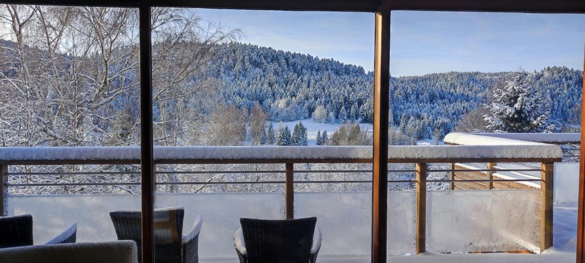 Le Cerf, Chalet Cocooning Avec Piscine Et Billard Ban-sur-Meurthe-Clefcy Kültér fotó